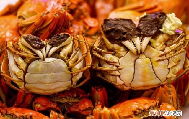 螃蟹怎么蒸才好吃螃蟹要蒸几分钟