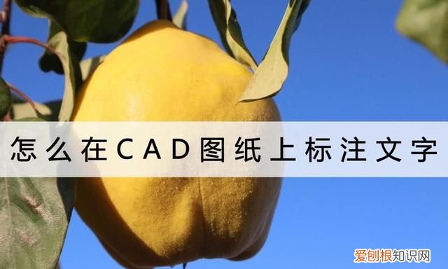 如何在cad图纸上标注文字