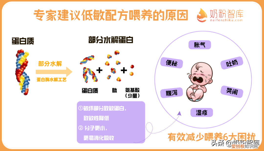 低敏配方奶粉有哪些品牌？宝宝第一口奶粉怎么选？低敏配方奶粉 | 优博敏佳深度评测来了