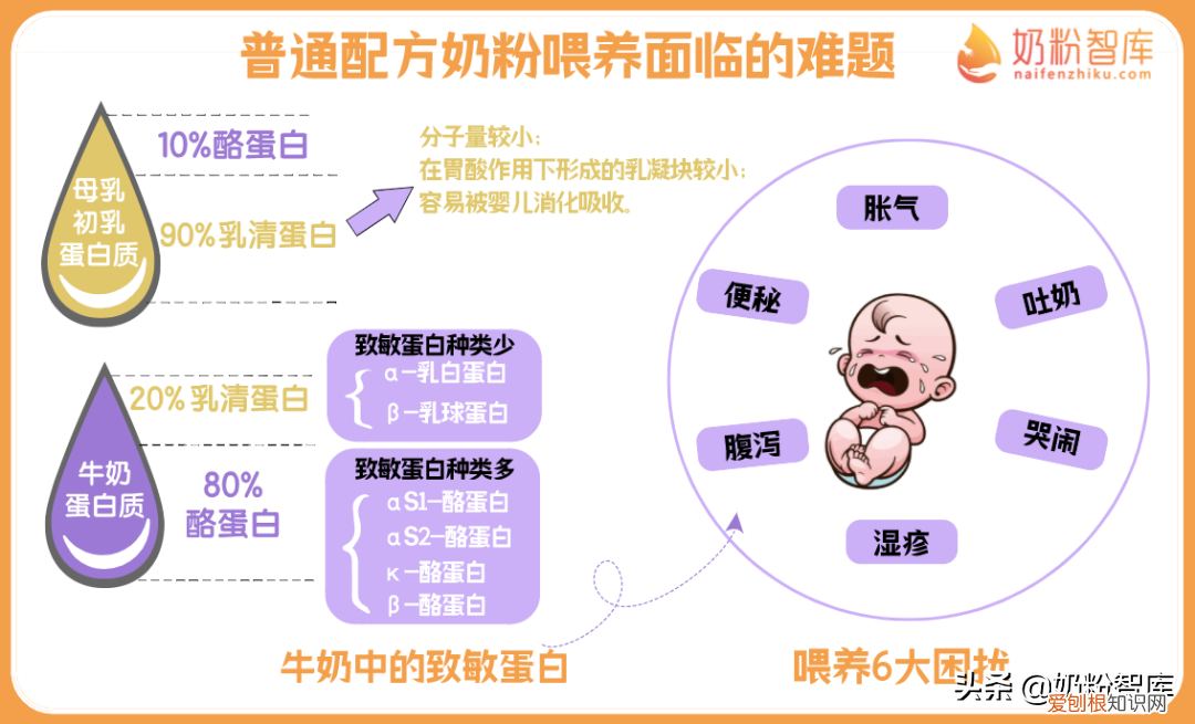 低敏配方奶粉有哪些品牌？宝宝第一口奶粉怎么选？低敏配方奶粉 | 优博敏佳深度评测来了