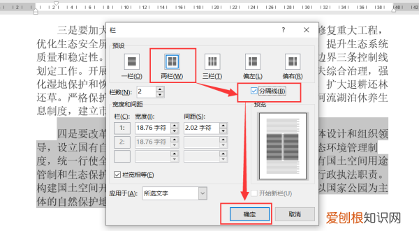 等宽两栏怎么设置分割线，word将正文分成两栏加分隔线