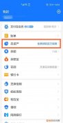 支付宝余额怎么查询，支付宝余额咋的才可以查