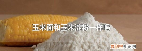 玉米面是玉米淀粉不，玉米淀粉和玉米面一样什么区别