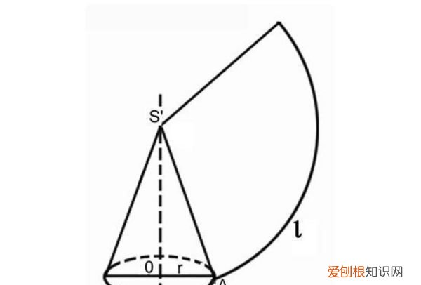 圆锥的特点是什么意思，圆柱和圆锥分别有什么特点?
