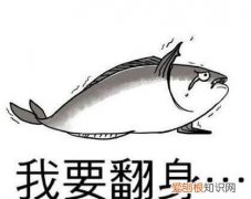 在闲鱼上可以卖粽子，咸鱼的三无是什么意思