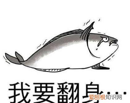 在闲鱼上可以卖粽子，咸鱼的三无是什么意思