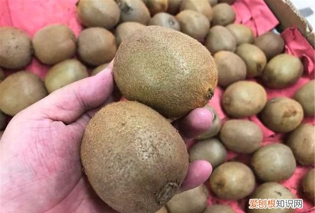 不能放冰箱保存的6种水果