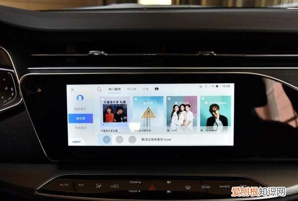 oshan是什么车，d字开头的是什么车