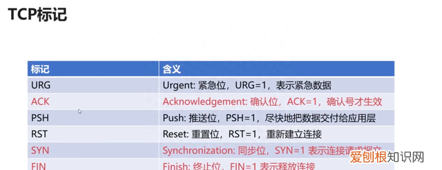 36张图详解计算机网络知识点,计算机网络必背知识点图例