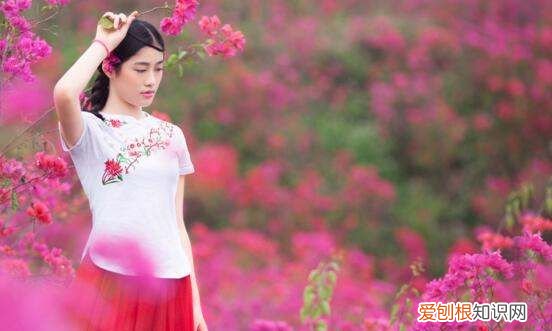 三角梅怎么掐尖，三角梅怎么修剪才开花多