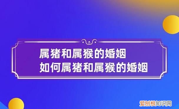 男属猴女属猪合适，属猴男与属猪女相配 性格不同的两人适合