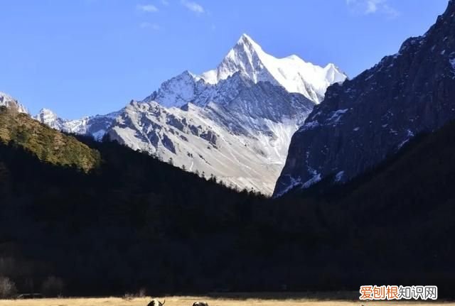 稻城亚丁一个无限接近天堂的地方