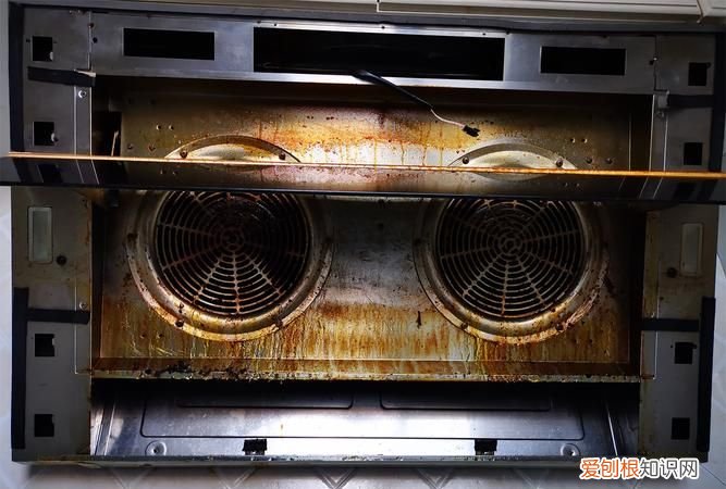 油烟机的油可以浇花，抽油烟机里滤出的油是否可以当做养花的肥料