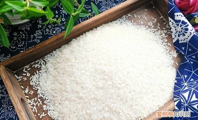 密封的大米为什么会生虫?还能不能吃?怎么防治呢