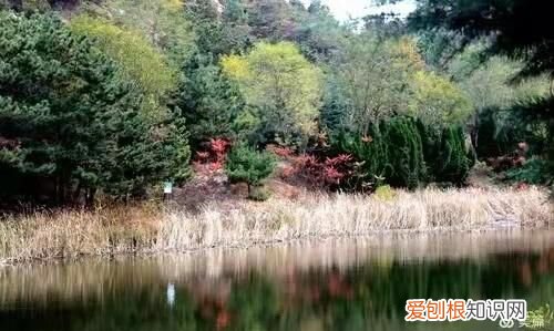 青岛十大旅游景点介绍,青岛旅游十大必去景点住宿