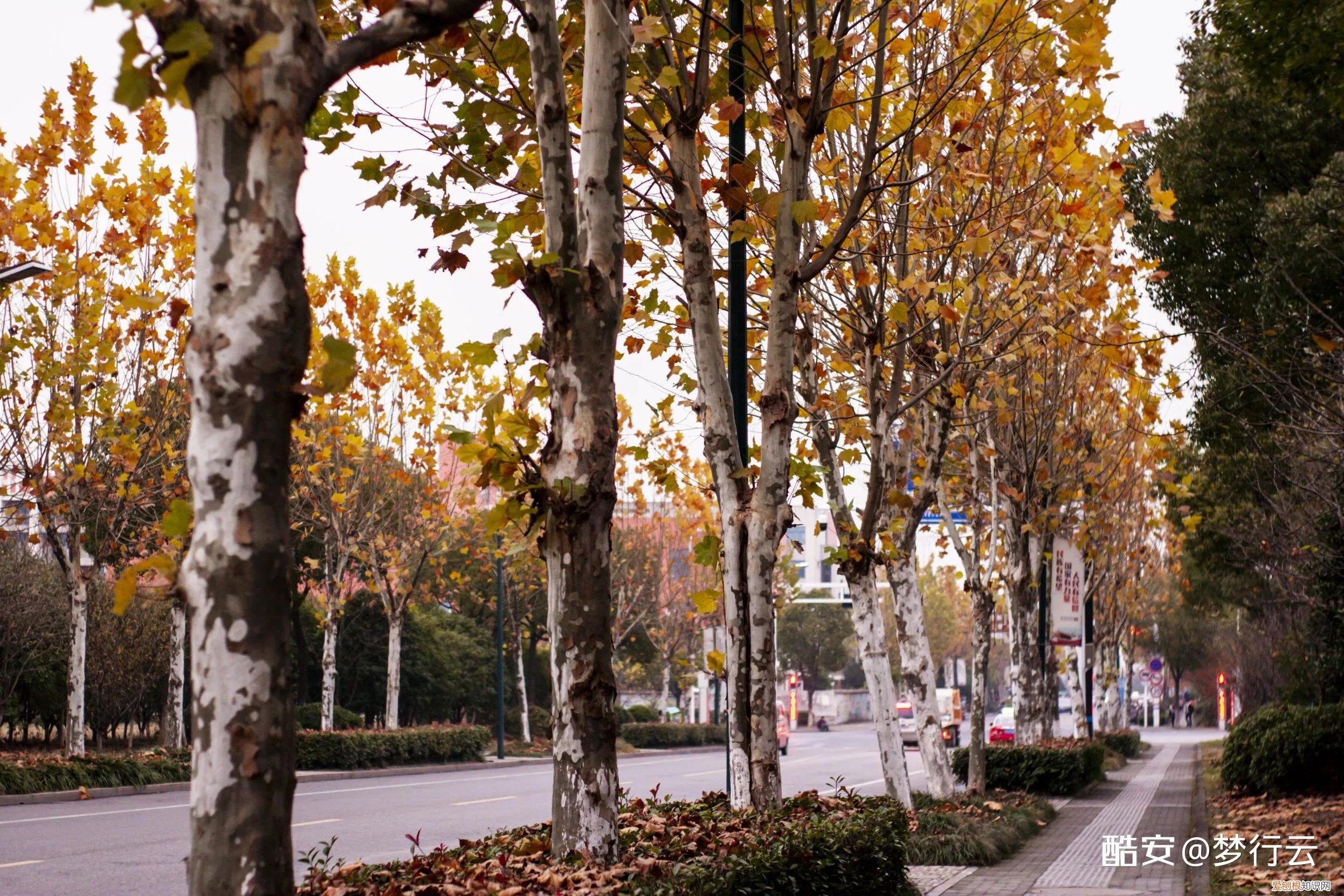 索尼nex3n值得买吗