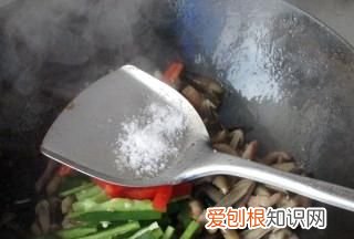 黑皮鸡枞菌野生的