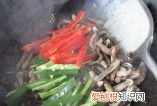 黑皮鸡枞菌野生的