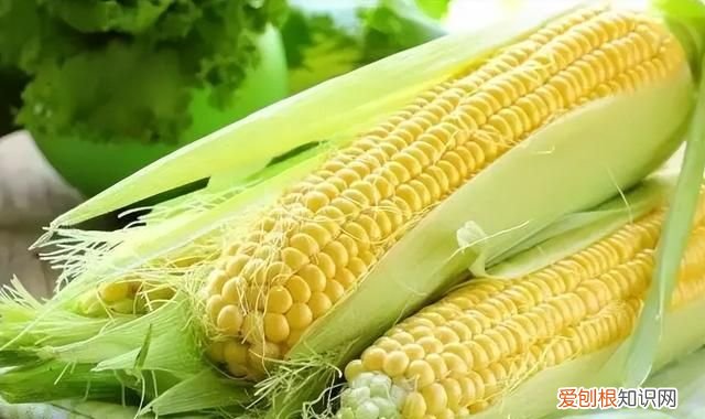 玉米怎么保存新鲜可以直接冷冻吗