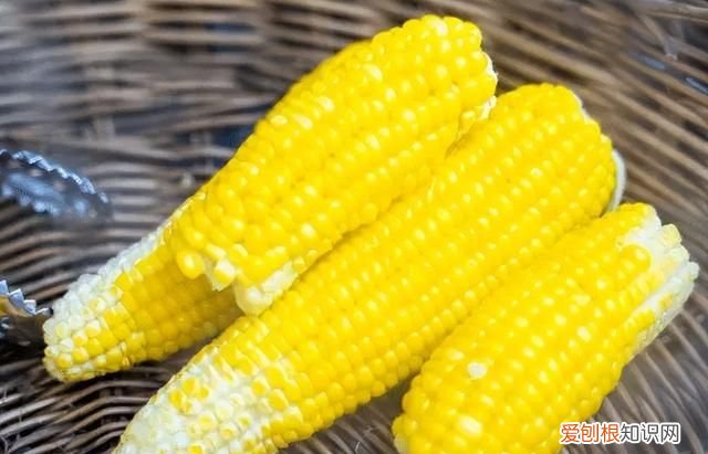 玉米怎么保存新鲜可以直接冷冻吗