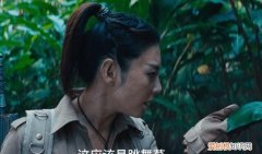 跳舞草是什么是毒品吗，舞踊是什么意思及读法