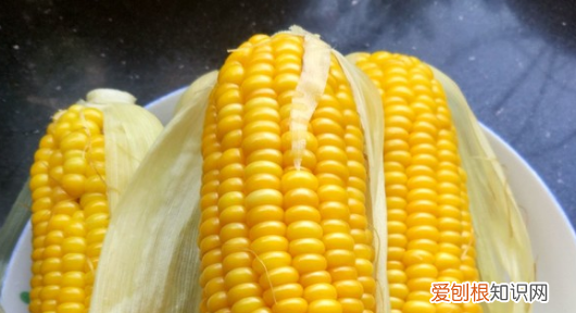 怎么做玉米,玉米粒怎么做好吃