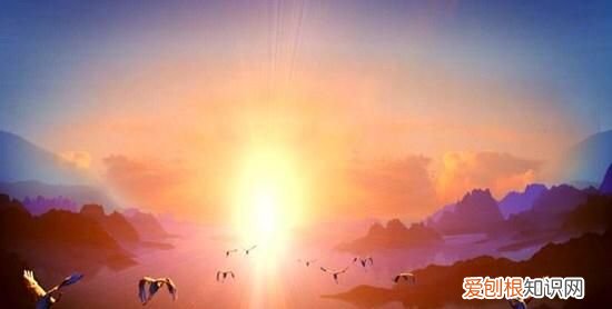 鸟一般一个小时能飞多少公里