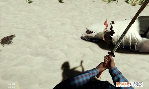 森林:如何将鲨鱼头当做饰品