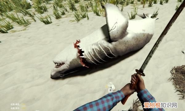 森林:如何将鲨鱼头当做饰品