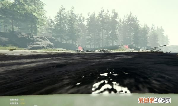 森林:如何将鲨鱼头当做饰品