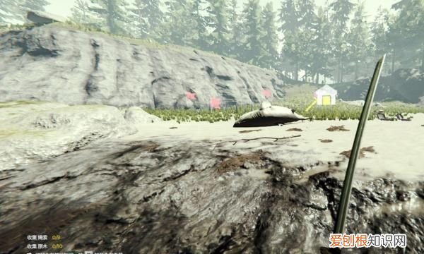 森林:如何将鲨鱼头当做饰品