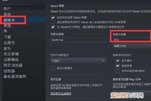 steam游戏中怎么截图