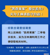 王林清窃取卷宗案一审获刑14年