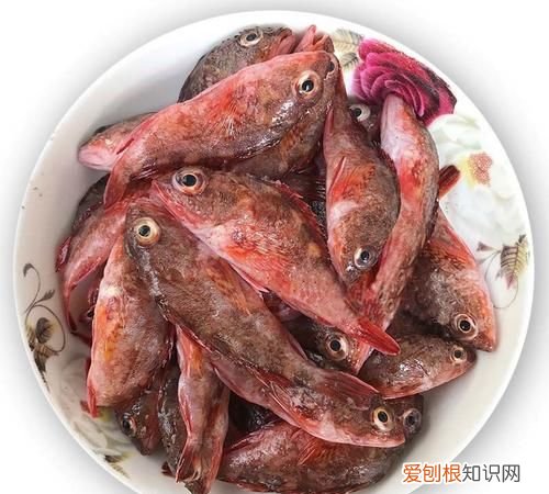 石九公做法，红焖石九公的家常做法