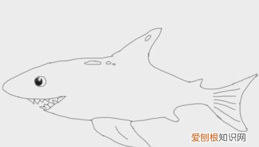 简单的鲨鱼怎么画