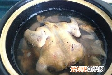 家常炖鸽子的做法