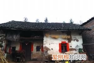 土坯墙加固新方法