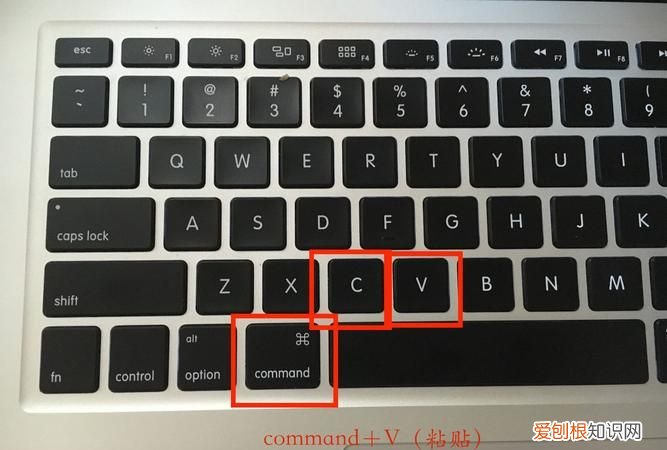 在电脑上复制粘贴按什么键，苹果电脑怎么切换复制扩展快捷键