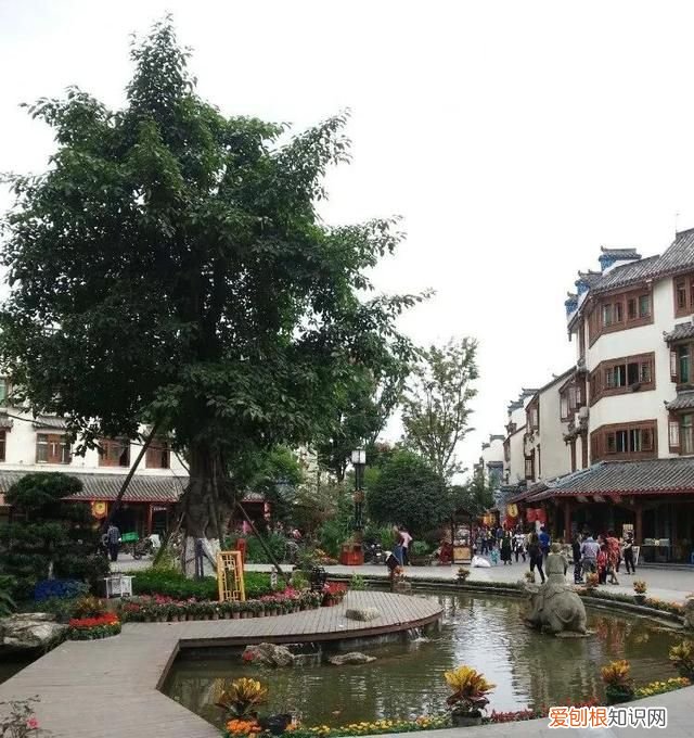 去成都郫都区哪里最近 从郫县到宽窄巷子的攻略图