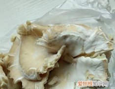 蘑菇放冰箱几天长白毛，蘑菇放冰箱长白毛能吃吗