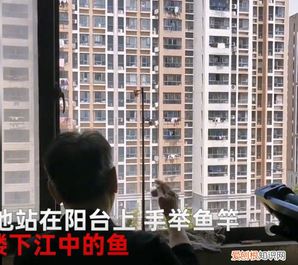 上海一大爷疫情在家1个月，自己家江景房阳台钓到8斤大鱼