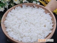 香弹煮是蒸米饭吗，小米可以煮成米饭