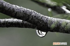 谷雨时节的句子2023最新