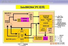 微型计算机的微处理器包括