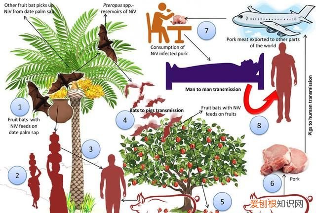 带螃蟹遭拒男子当场踩死 带螃蟹被拒男子当场踩死