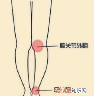 膝内翻是什么腿型