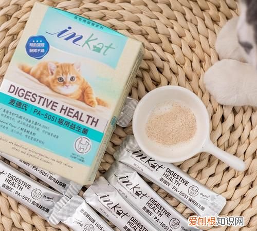 小猫拉肚子怎么办