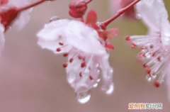 下雨天抖音热搜的文案说说 下雨天抖音热搜的句子