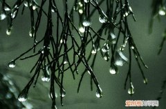 适合雨天发的朋友圈文案90句简短