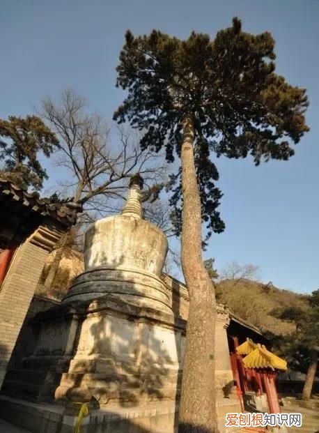 北京八大处寺庙一天能逛完吗